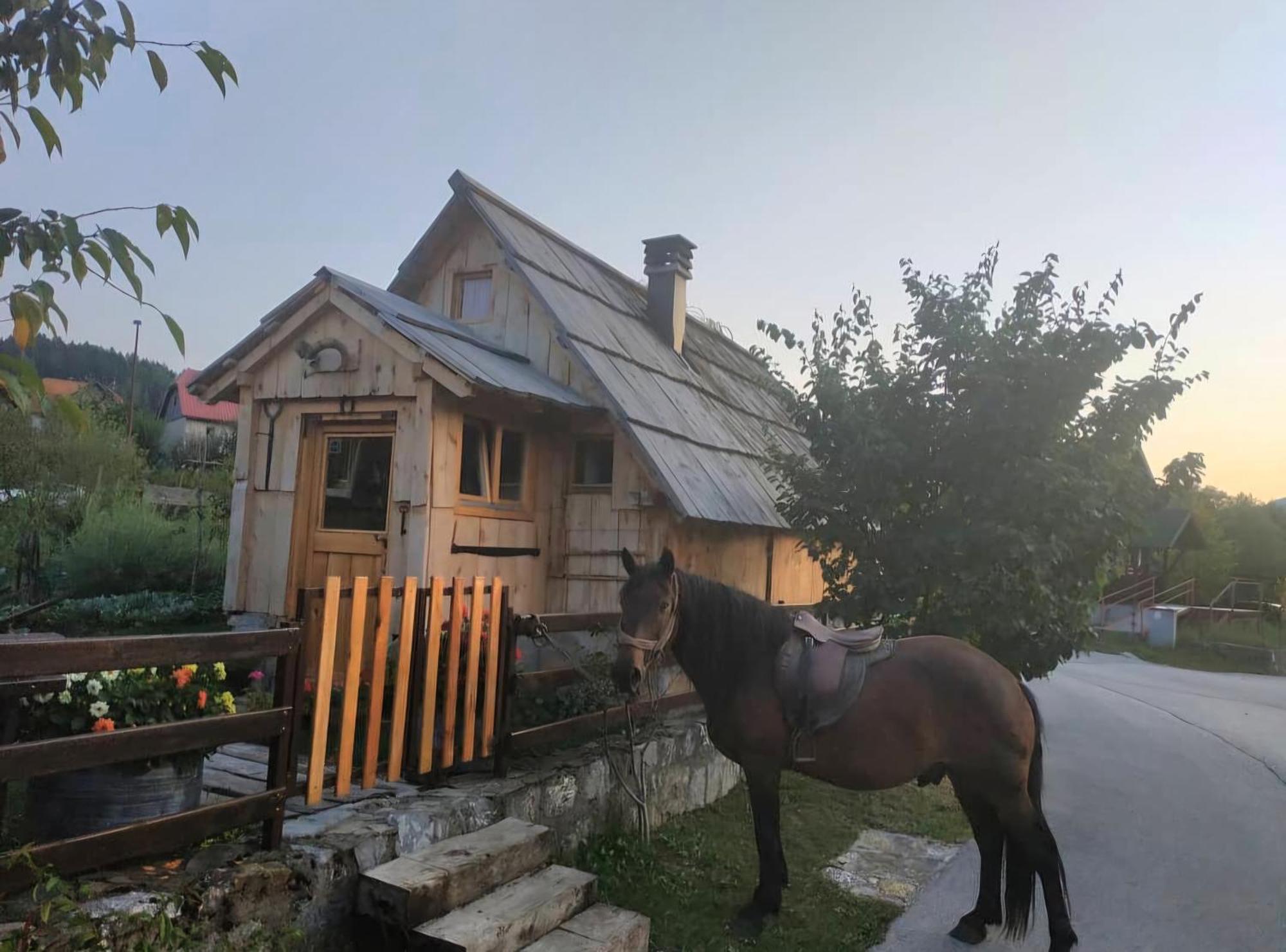 Etno Smjestaj Bjelasica Kolašin Exteriör bild